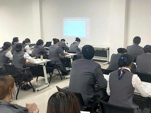 政務服務業務咨詢電話 參加社會保險事項培訓與信息咨詢服務詳解